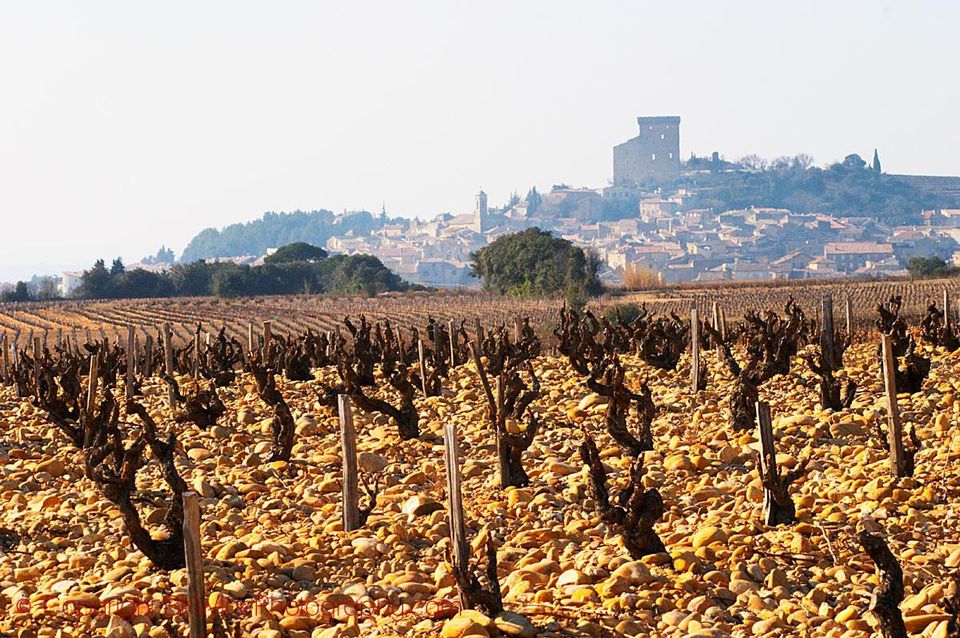 France's Most Famous AOC, Chateauneuf du Pape