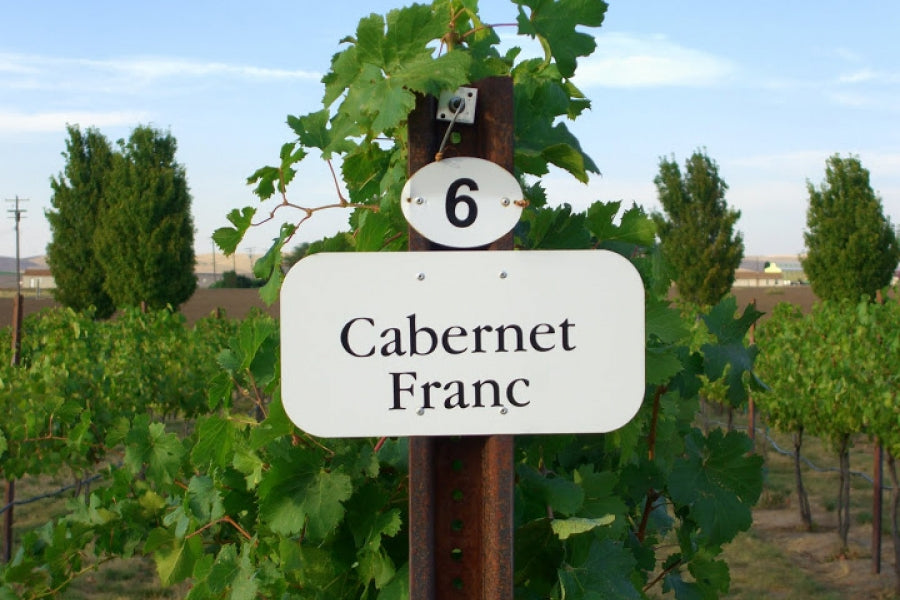 Cabernet Franc