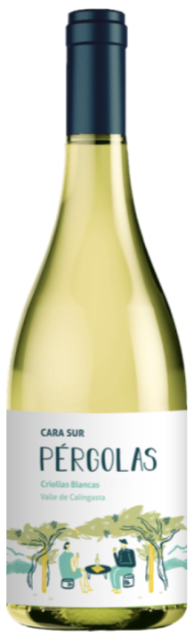 Cara Sur 2025 Pergolas Criollas Blancas - Taylor's Wine Shop