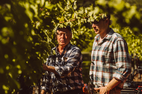 Gibbs Napa Valley Wine Dinner at The Mill - September 17, 2026