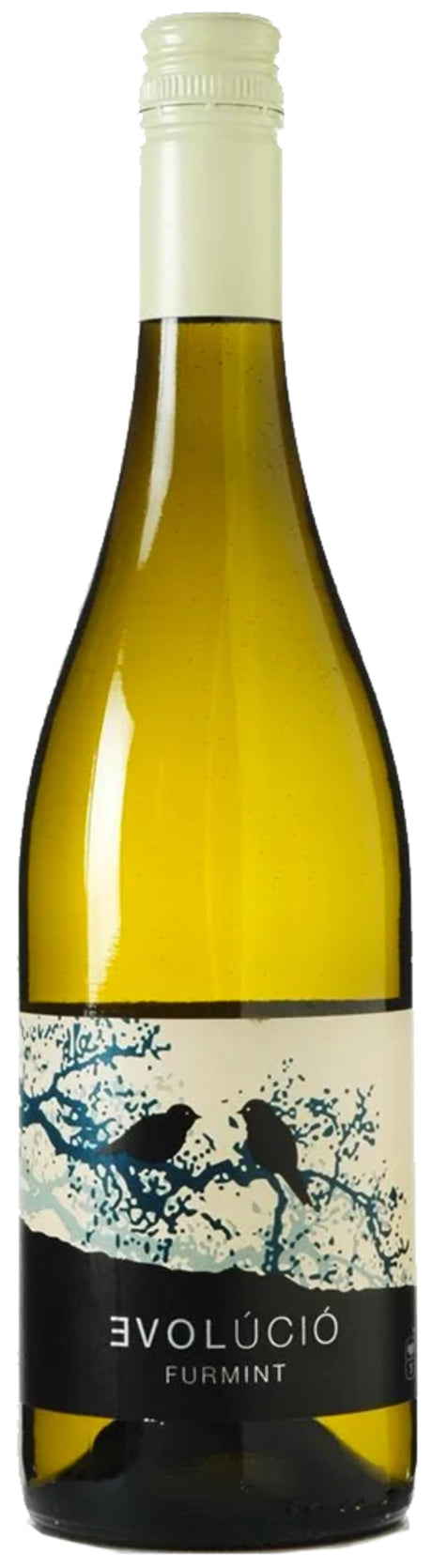Evolucio Furmint White Wine - Taylor's Wine Shop