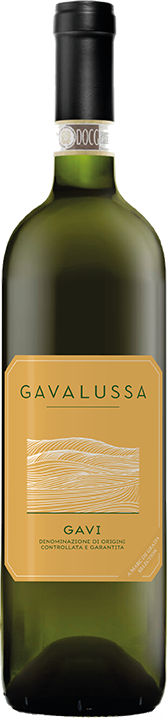 Gavalussa "Gavi" White - Taylor's Wine Shop