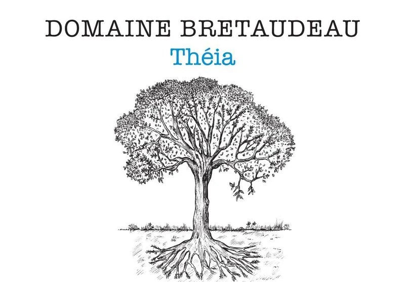 Domaine Bretaudeau "Theia" Muscadet Sevre Et Maine Sur Lie
