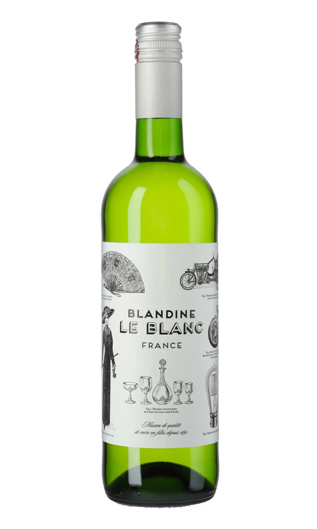 Chateau de Cedre "Blandine le Blanc" White Blend - Taylor's Wine Shop